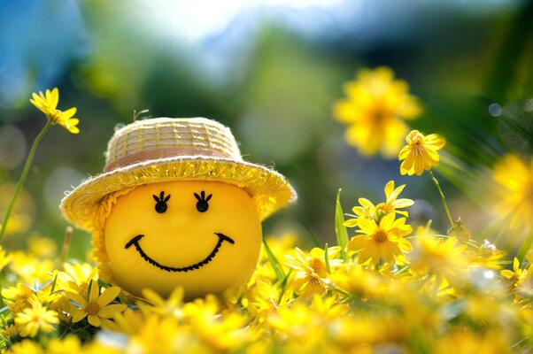 The Science of Happiness: How to Cultivate Joy in Everyday Life